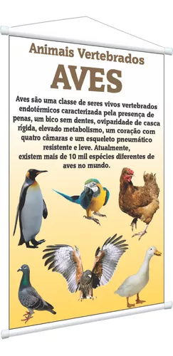 Defina Seu Cardápio da Semana